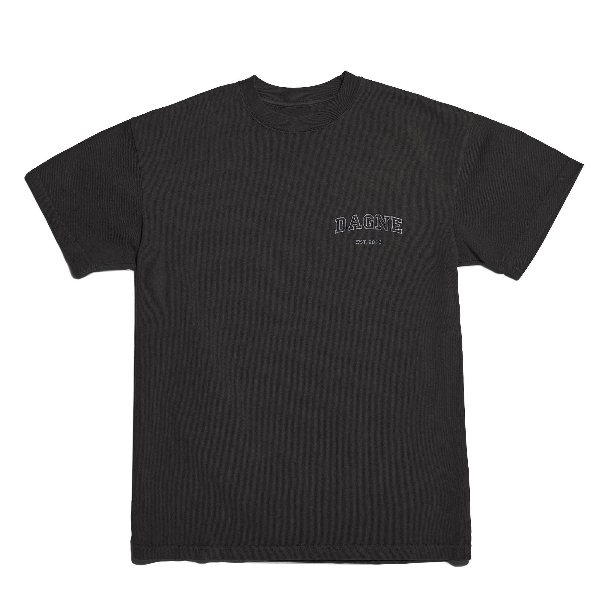 Varsity Logo T-shirt in Onyx, Large